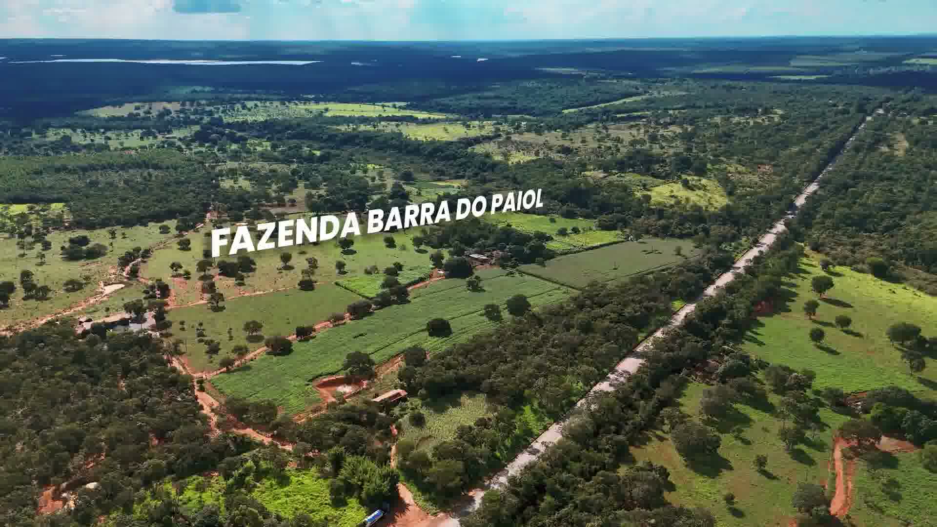 FAZENDA SAPÉ